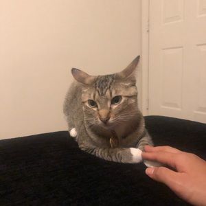 Meet your Posher, Julia